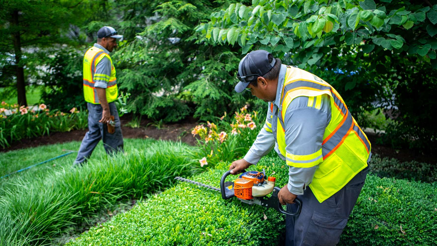 Berkeley Landscape Design: The Art and Science of Landscape Maintenance