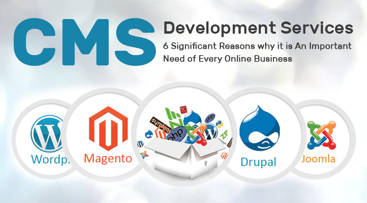 CMS Development Services Singapore
