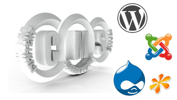 Content Management System Web Development Singapore