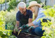 5 Easy Tips for Growing a Beautiful and Thriving Garden