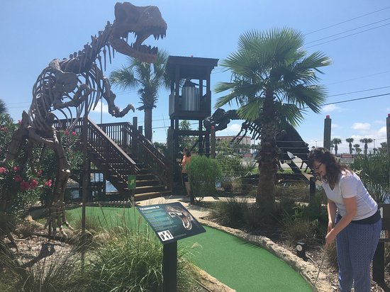 Family Fun Awaits: Exploring Gulf Breeze Zoo and Wild Willy's Adventure Zone