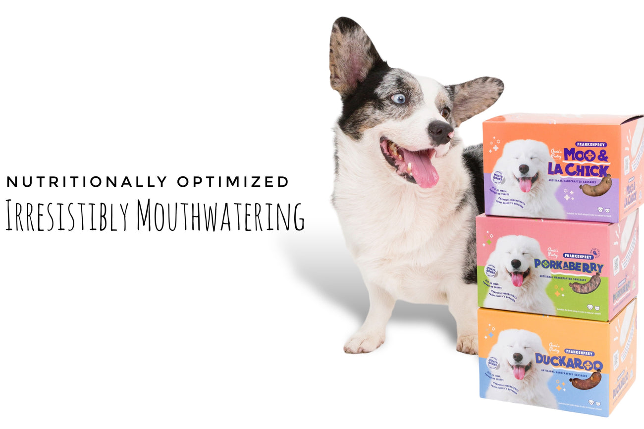 Exploring the Nutritional Advantages of Feeding Dogs Raw Meat