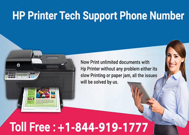 Can HP Printer Customer Service help Troubleshoot Offline issue?