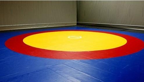 Wrestling Mats Wholesaler in Delhi