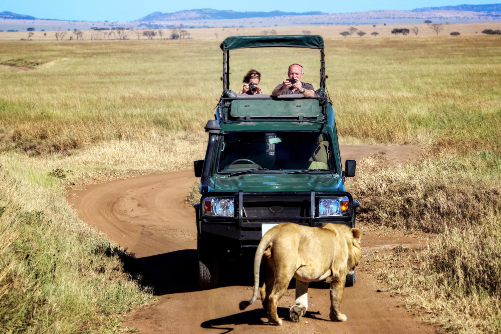 4 Things that make Maasai Mara Safari Experience Memorable