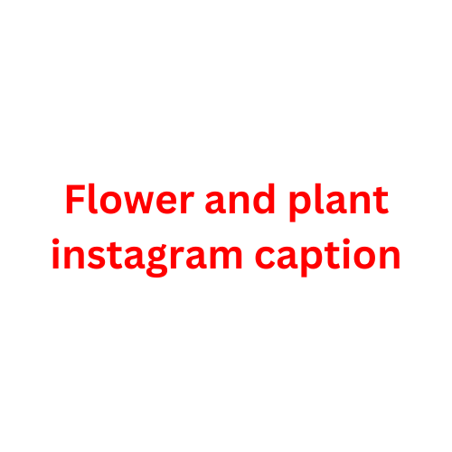 Enhance Your Floral Posts with Flower Instagram Captions