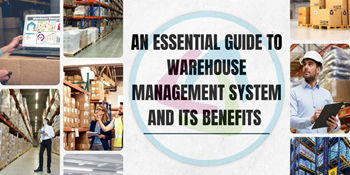 Exploring the Essentials of Traditional Warehouse Management