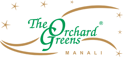 Among the Best Hotels in Manali, The Orchard Greens Stands Out for Its Guest Satisfaction