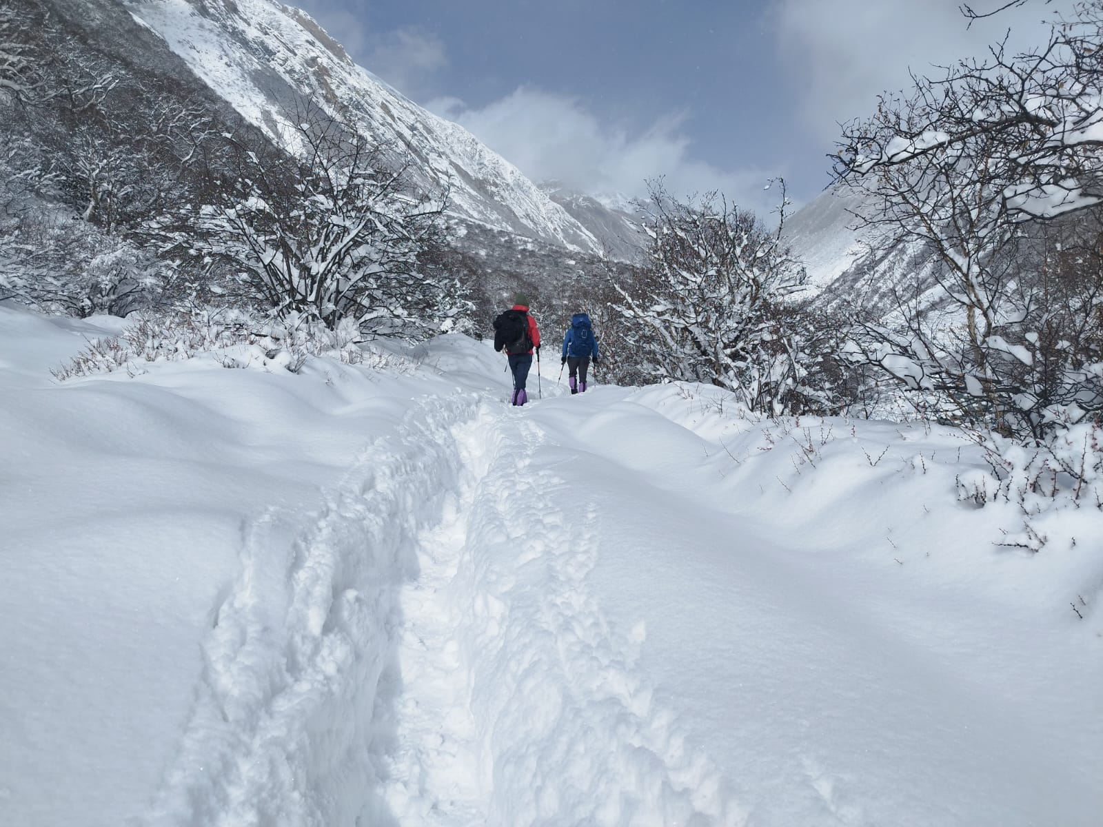 Comparing the Ultimate Treks: A Guide to Manaslu Circuit vs. Annapurna Circuit