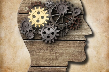 How Patient safety protocols implementation in hospital