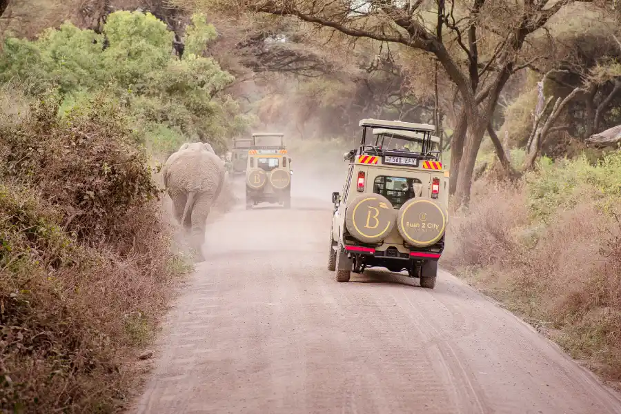 Luxury African Safari Holidays: Must-Visit Spots in Arusha for Senior Explorers