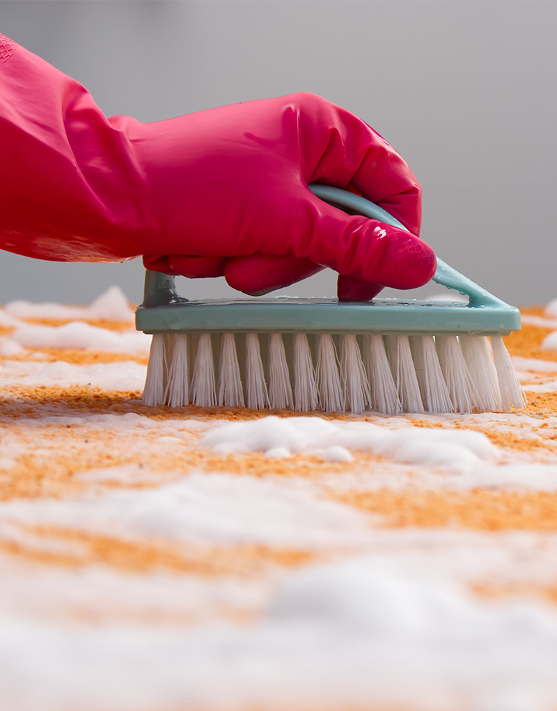 Why Hiring A Professional Cleaner Is Better Than Replacing Your Carpet?