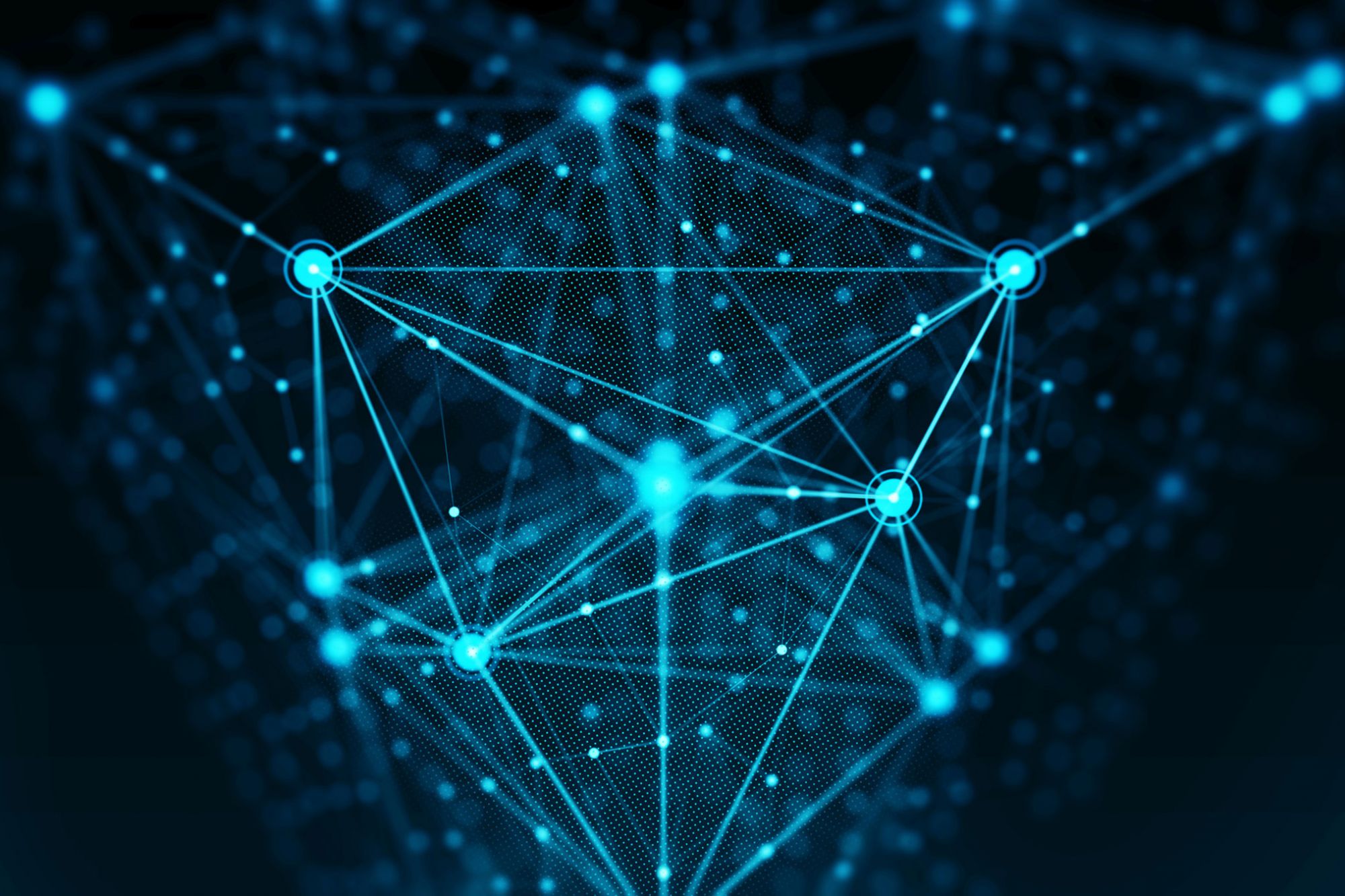 How to hire a blockchain developer