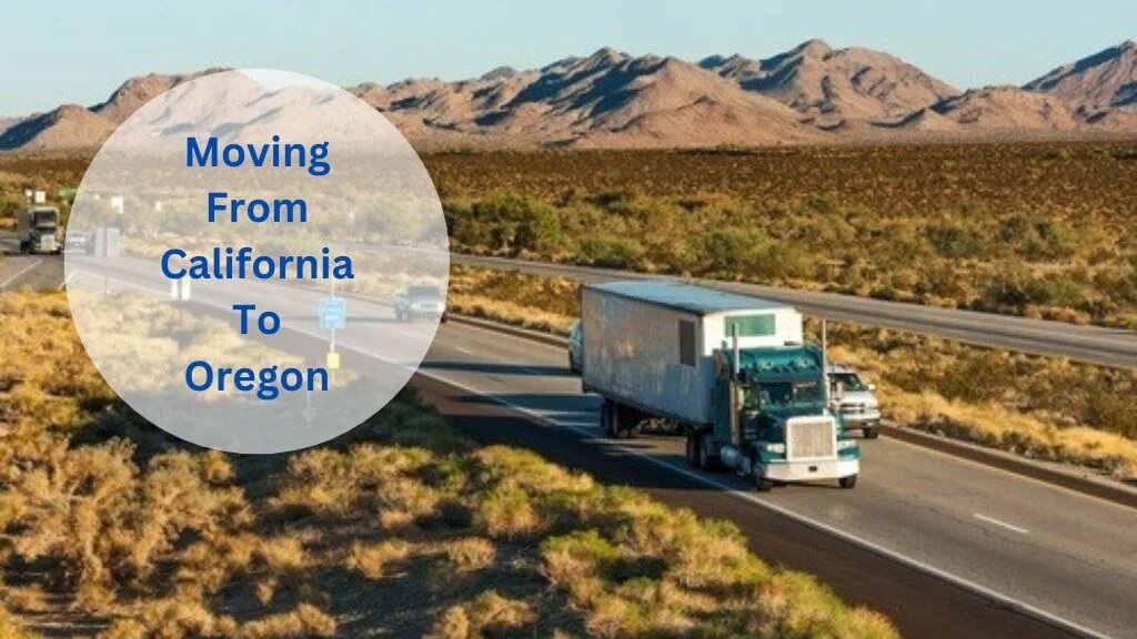 Why Insurance is Vital in Choosing Local Movers in California?