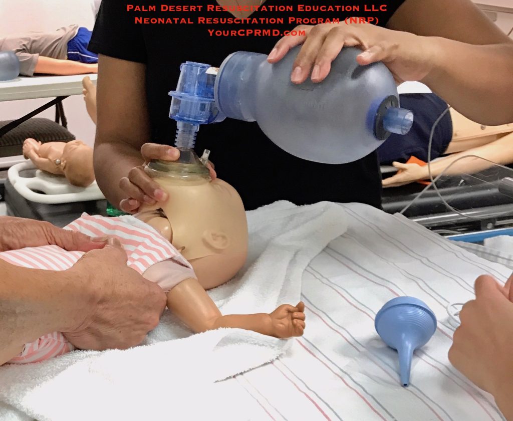 Equipping Chula Vista with Vital Lifesaving Skills CPR and Certification Programs