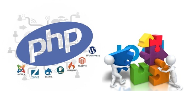 Explanation on why to Hire PHP developer for your start-up?