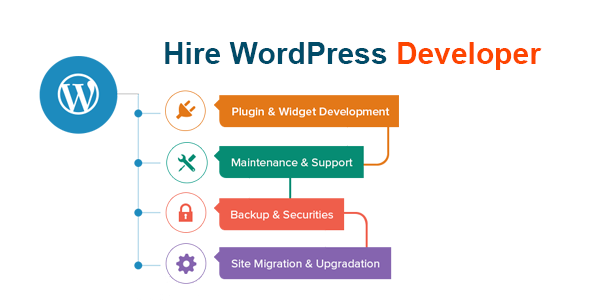 3 Biggest Reasons To Choose WordPress Web Development For Your Business!