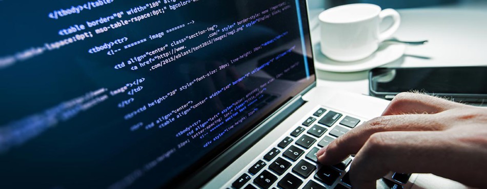 Things to consider before hiring Wordpress Developer