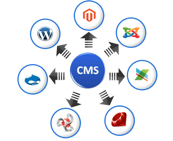 Top Reasons Why You Need CMS Development Company For Your Website!