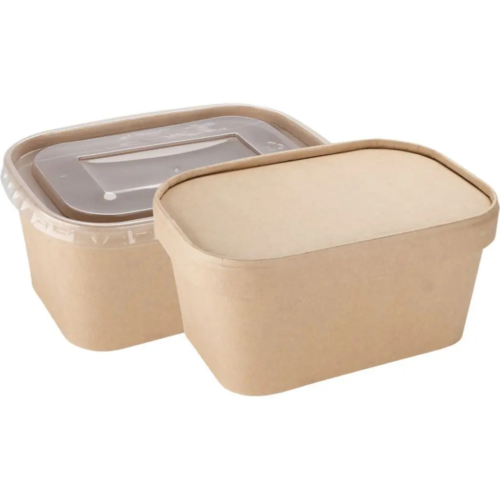 Disposable Lunch Box Containers for Work, School, and Travel