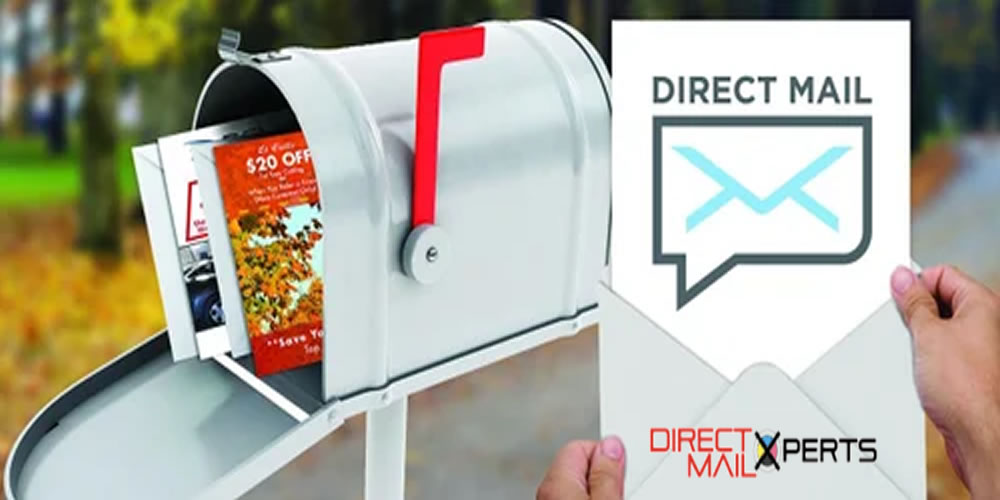 Navigating the World of Everyday Direct Mail