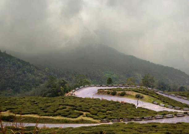  Exploring Darjeeling: Premier Tour Packages Starting from Kolkata