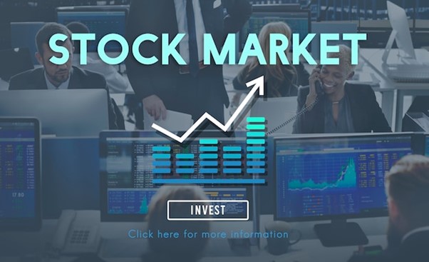 How I Choose My Stocks: A Step-by-Step Process for New Investors
