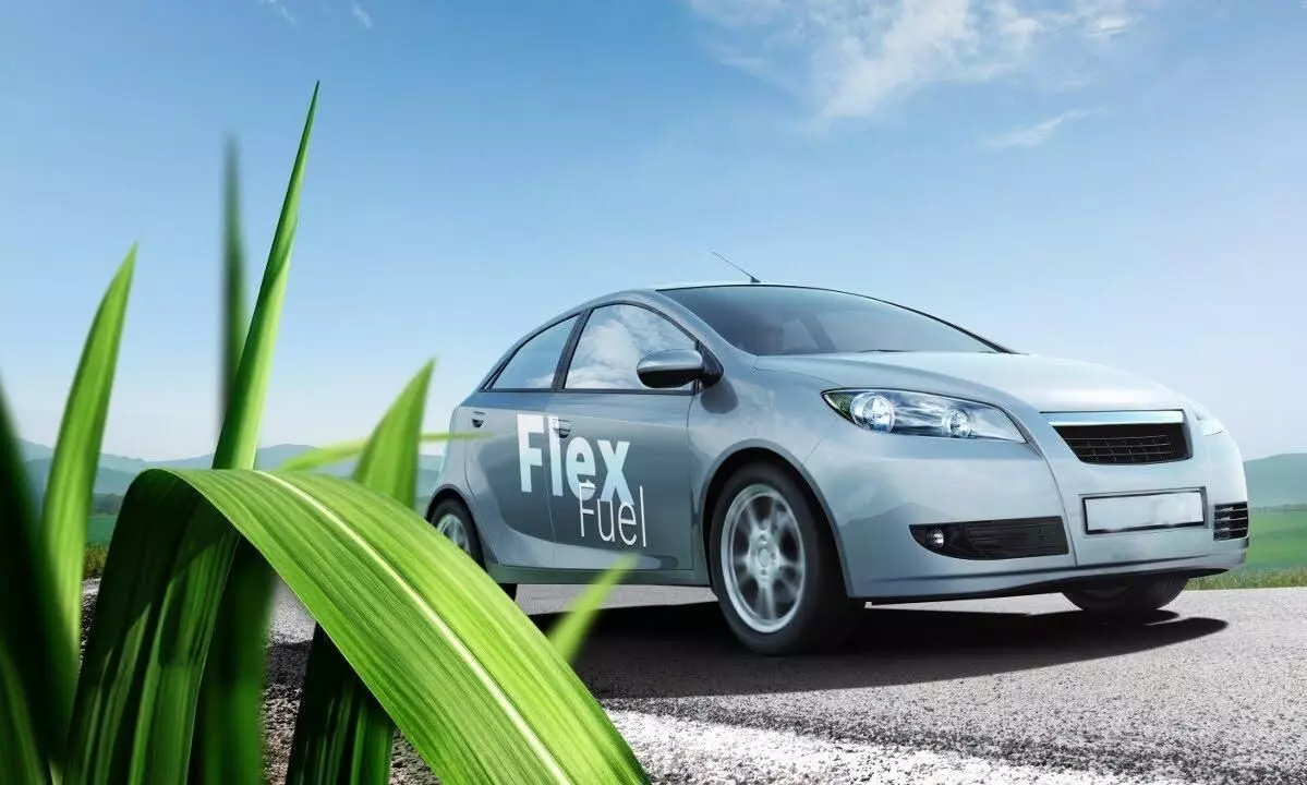 Sustainable Energy Shift: Exploring Brazil's Flexfuel Initiative