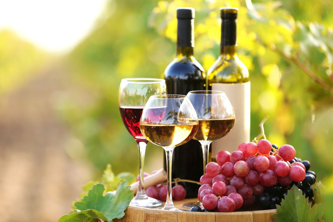 A Brief History of Wine