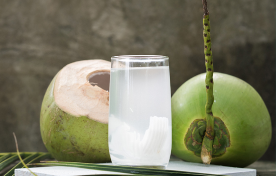 Global Packaged Coconut Water Market Share, Growth & Forecast 2031