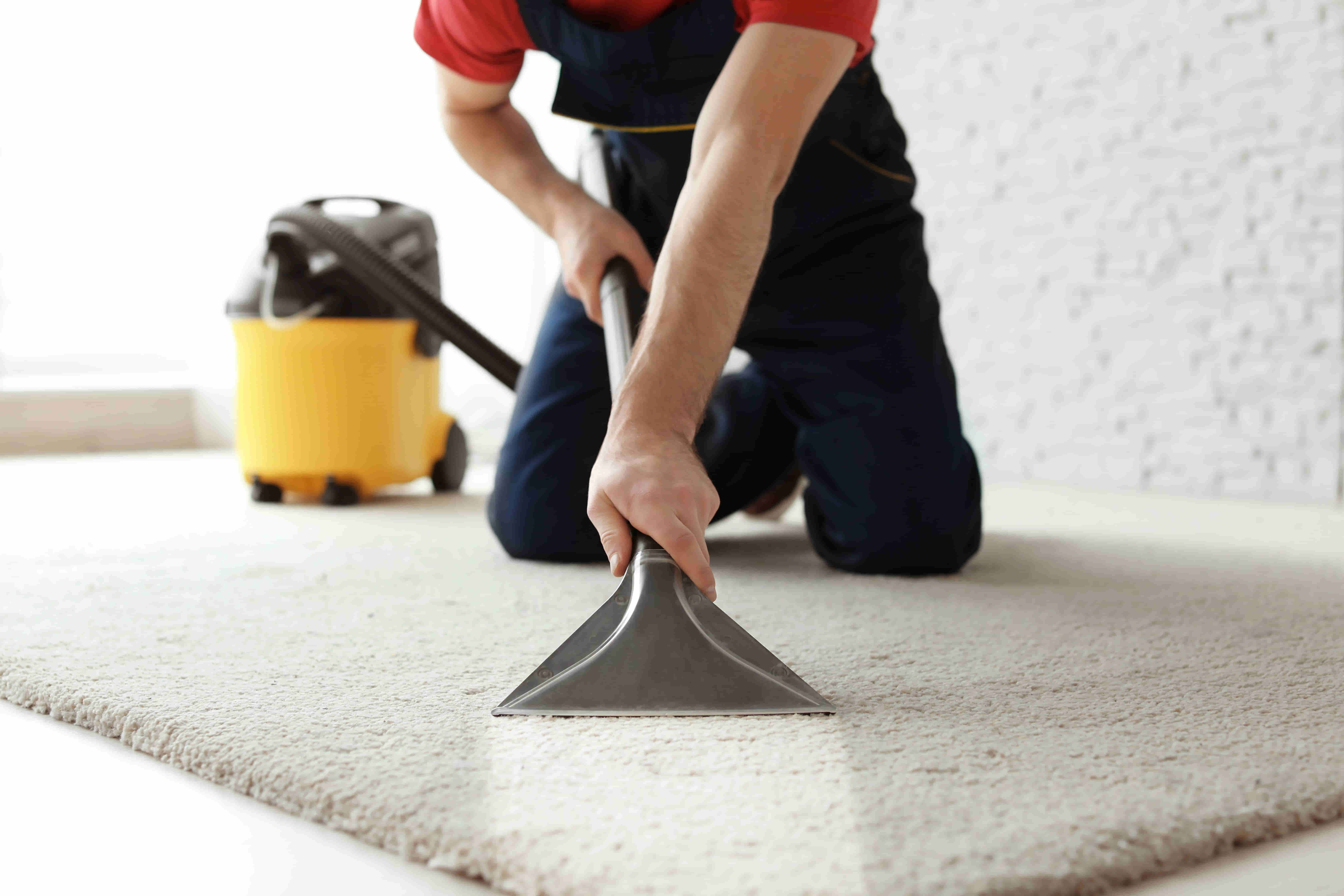 When DIY Carpet Cleaning Becomes a Costly Mistake
