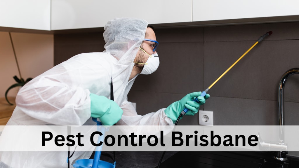 Critter Command: Mastering Pest Control for a Healthy Home