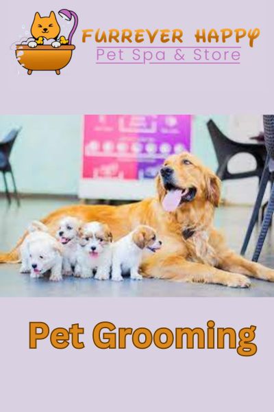 Dog grooming salons in my area