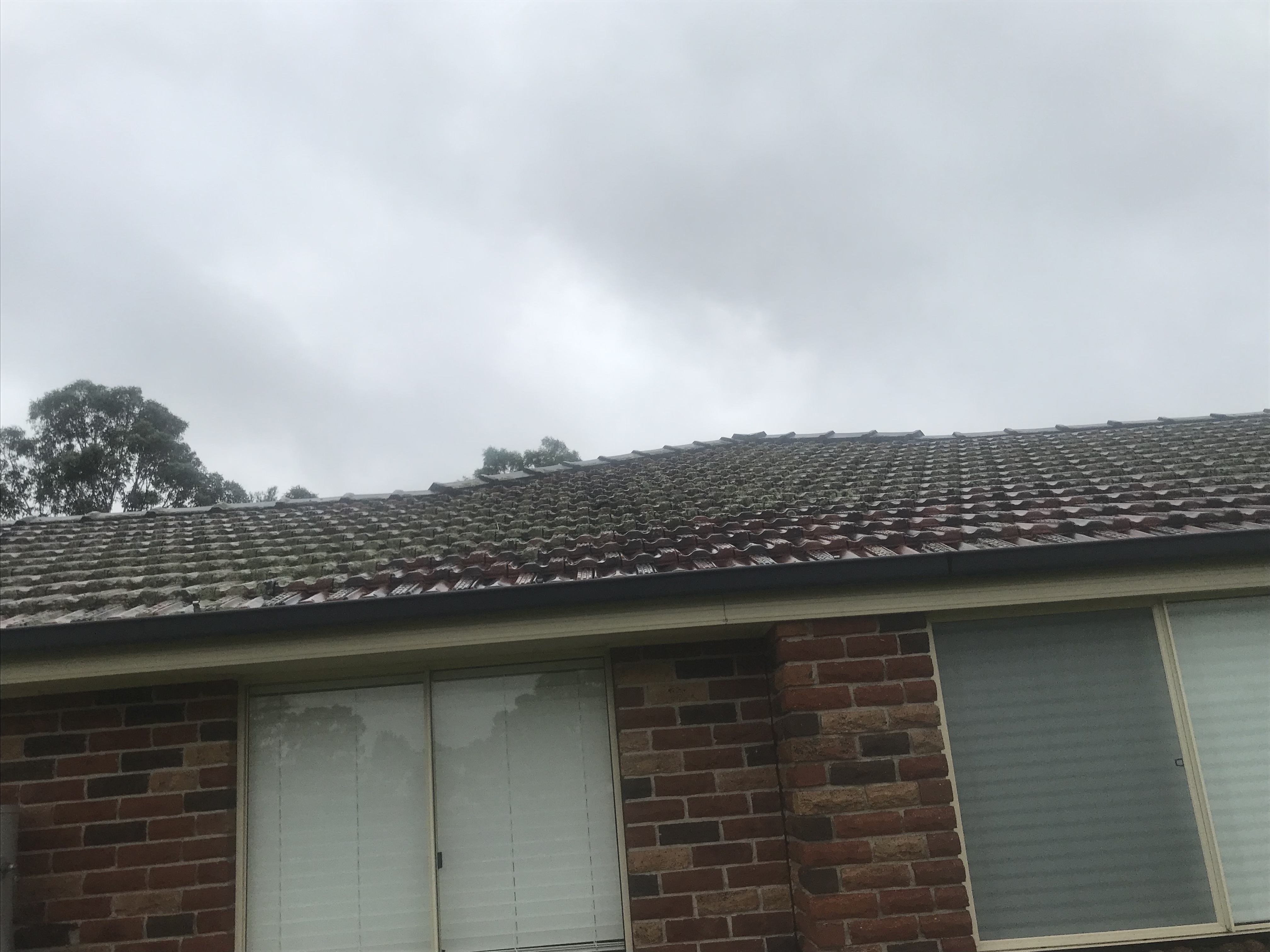 The Benefits of Professional Roof Repairs in Sydney