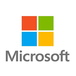 What Are Microsoft Business Solutions?
