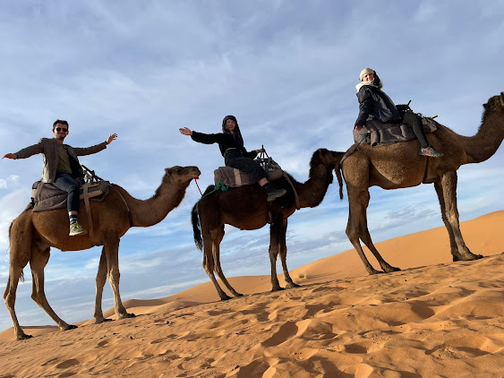 Exploring the Wonders of Morocco Unveiling the Allure of Morocco Holiday Packages