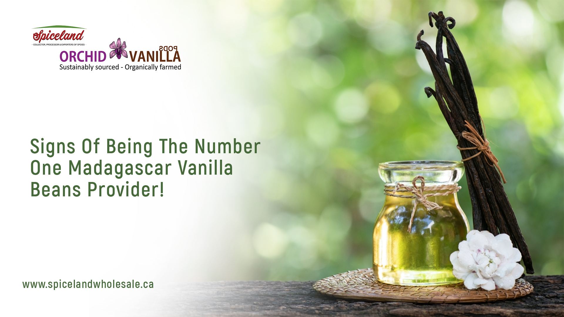 Signs Of Being The Number One Madagascar Vanilla Beans Provider!
