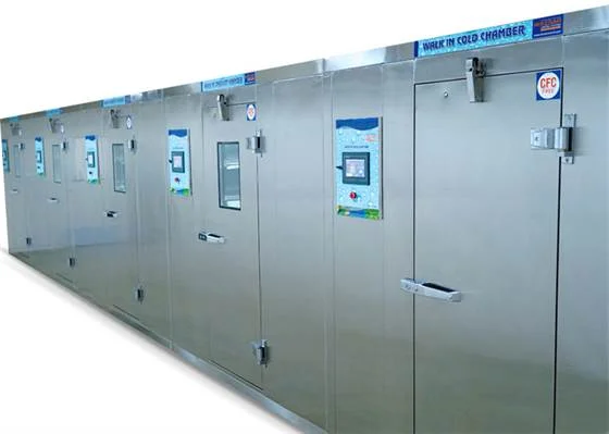 Reliable Solutions, Unmatched Quality: Walk-in Stability Chamber Manufacturer