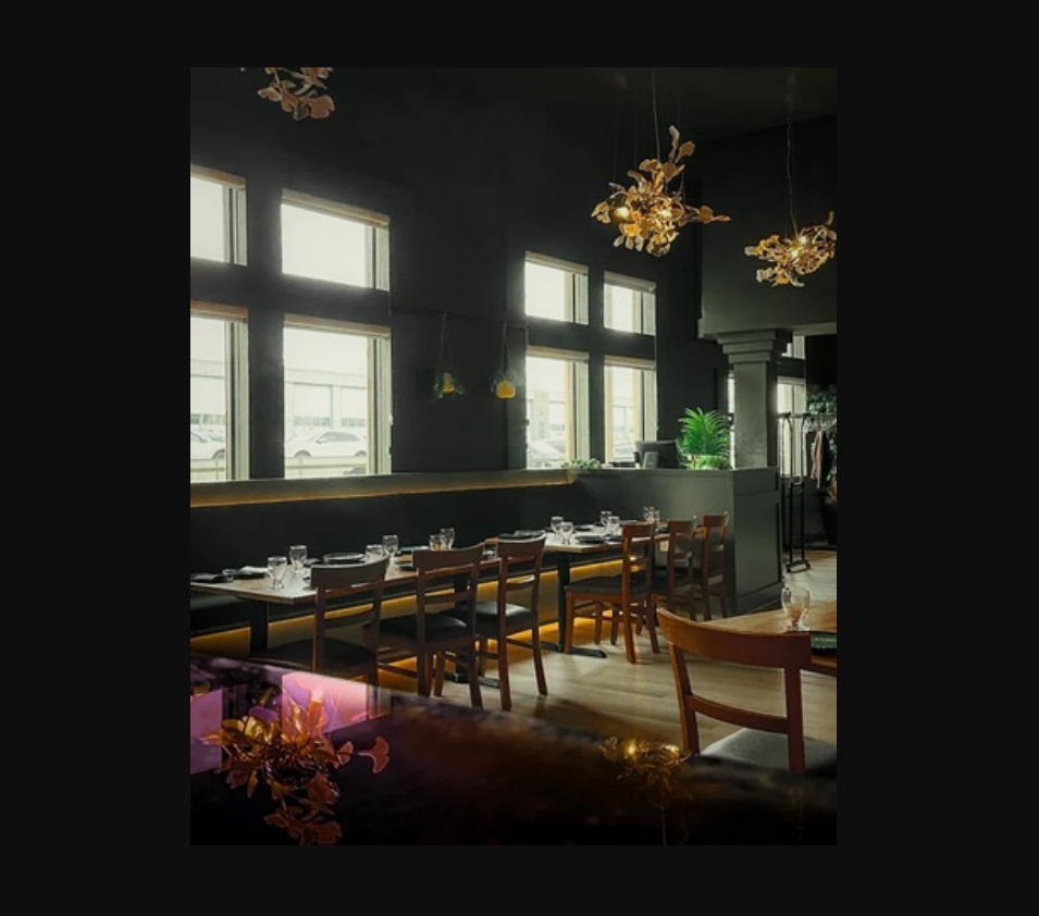 Indulge in the rich flavours of Levantine cuisine at Delphi Levant
