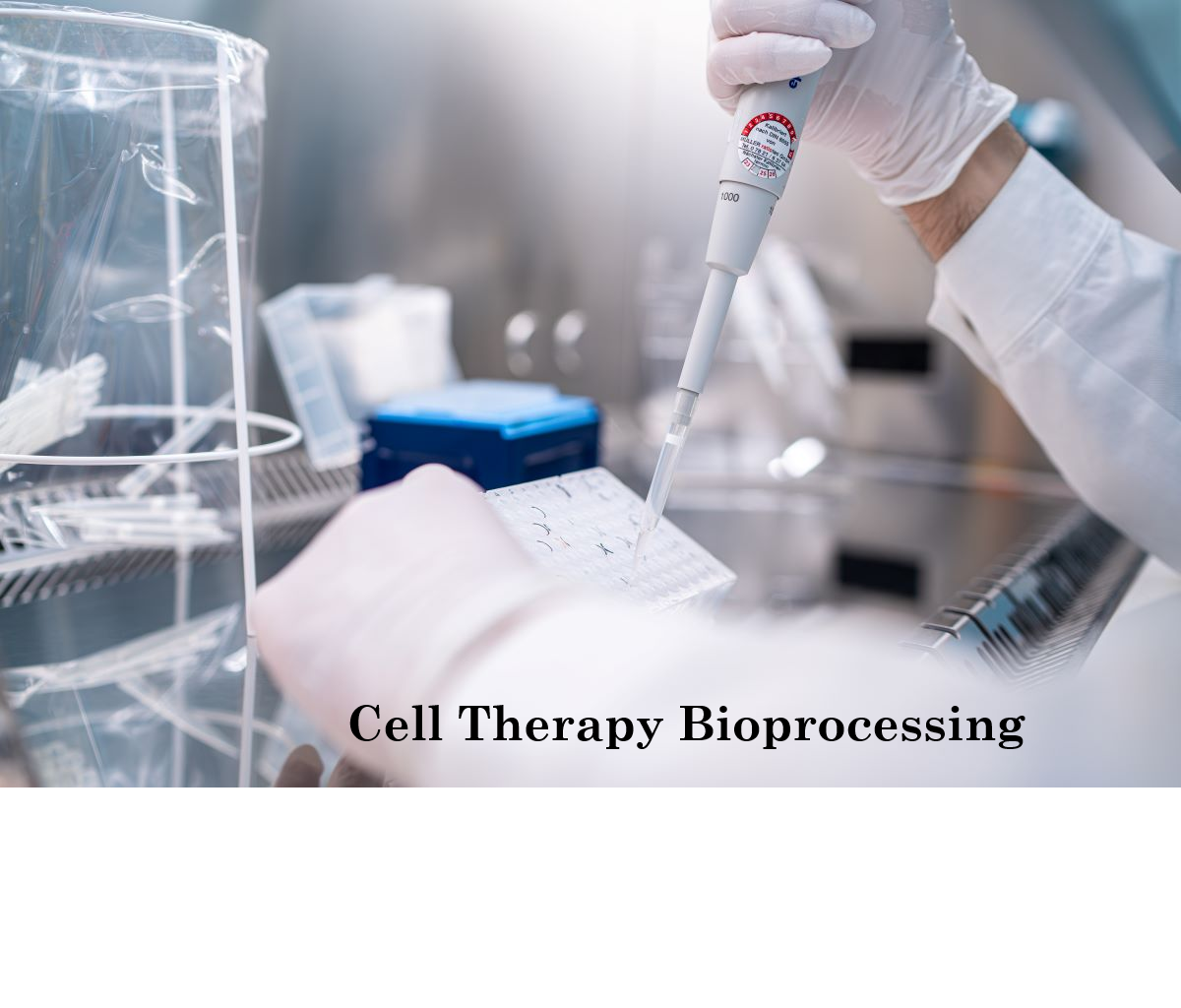 Why Cell Therapy Bioprocessing Is One of the Fastest-Growing Segments in Biomanufacturing