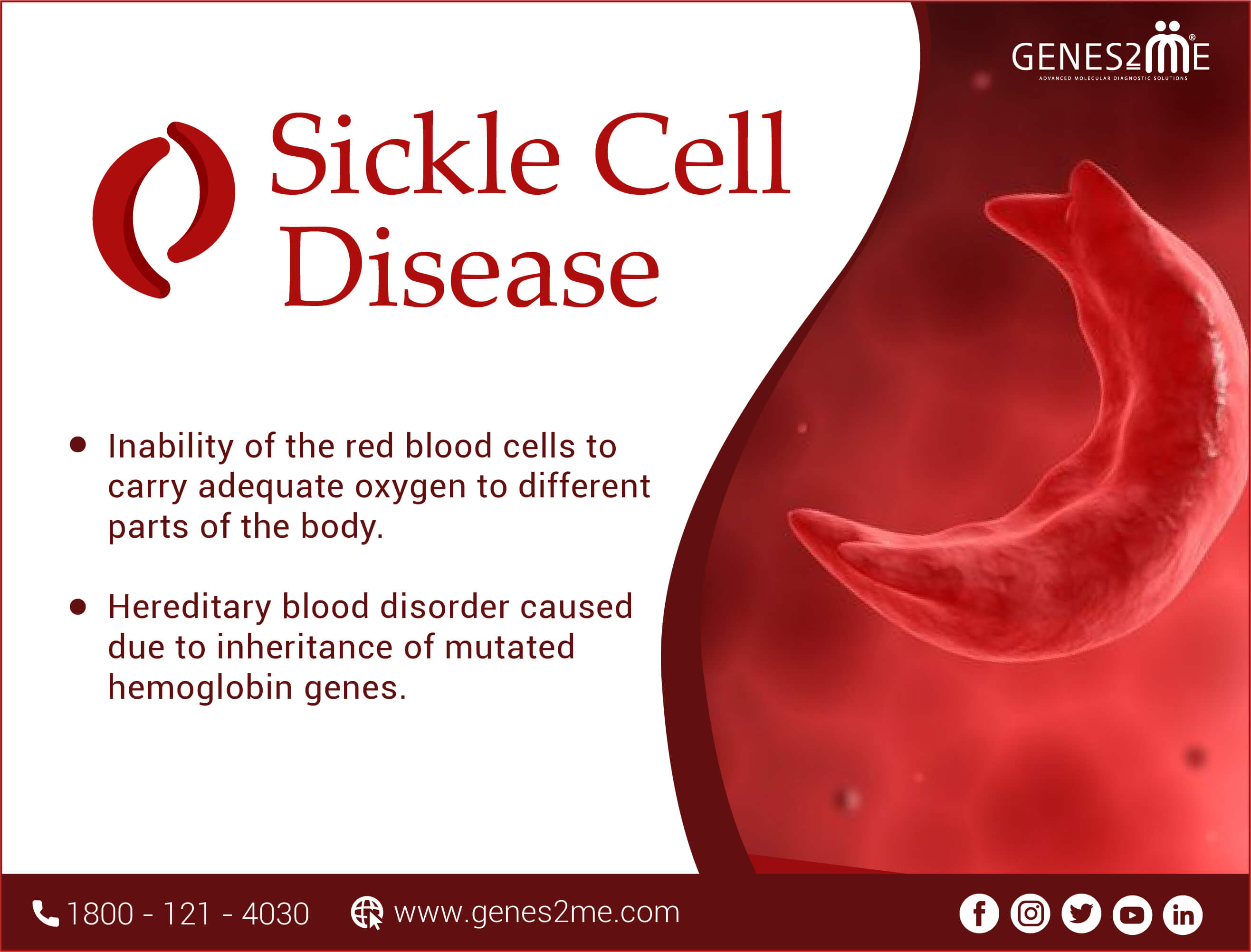 Sickle Cell Anemia and Thalassemia - Two Genetic Abnormalities Sharing a Common