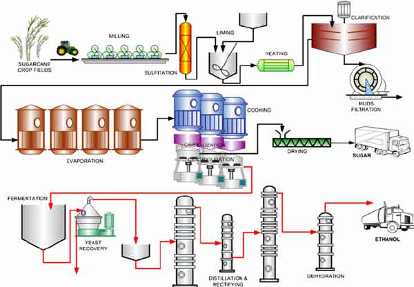 Renewable Ethanol Market Will Hit Dynamic Growth To Reach USD  15.16 Billion by 2033