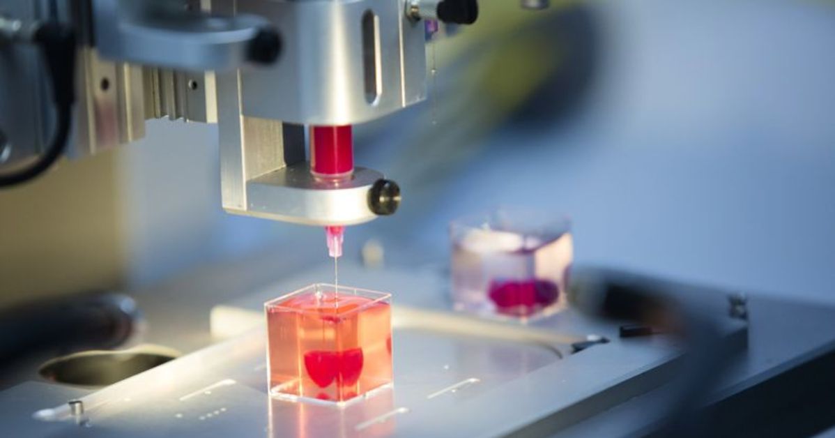3D Bioprinting Market is Expected to reach USD 8.33 Billion by 2035 With Growing CAGR 13.2%