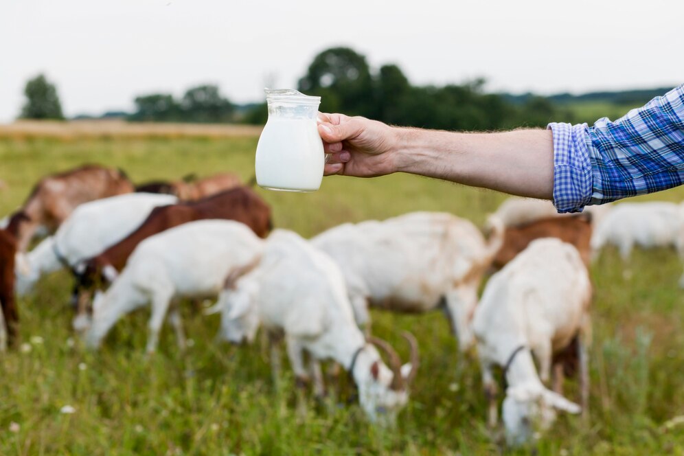 Goat Milk Products Market Key Drivers, Insights, Outlook, Overview And Market Research Report 2024-2033