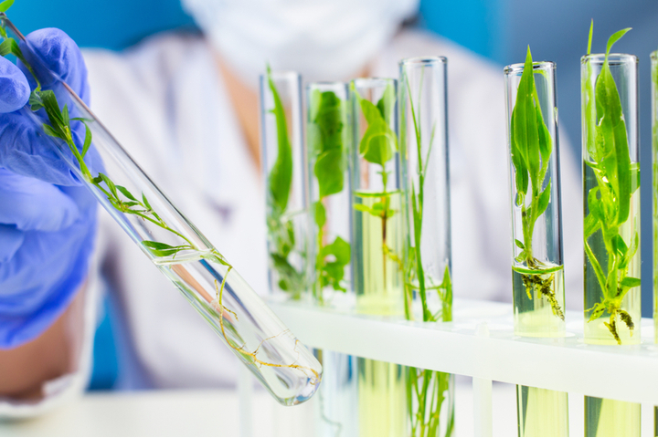 Biotech Ingredients Market 2021 Share, Current Trends, Growth Drivers, Competitive Landscape and Future Opportunity till 2028