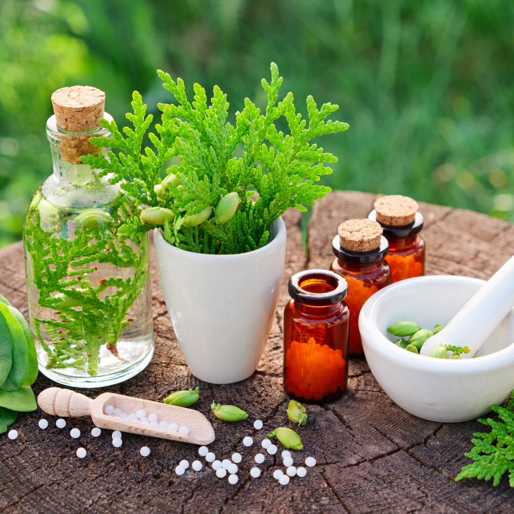 The Path To Well-being: Naturopathy Treatments Offered In Bangalore