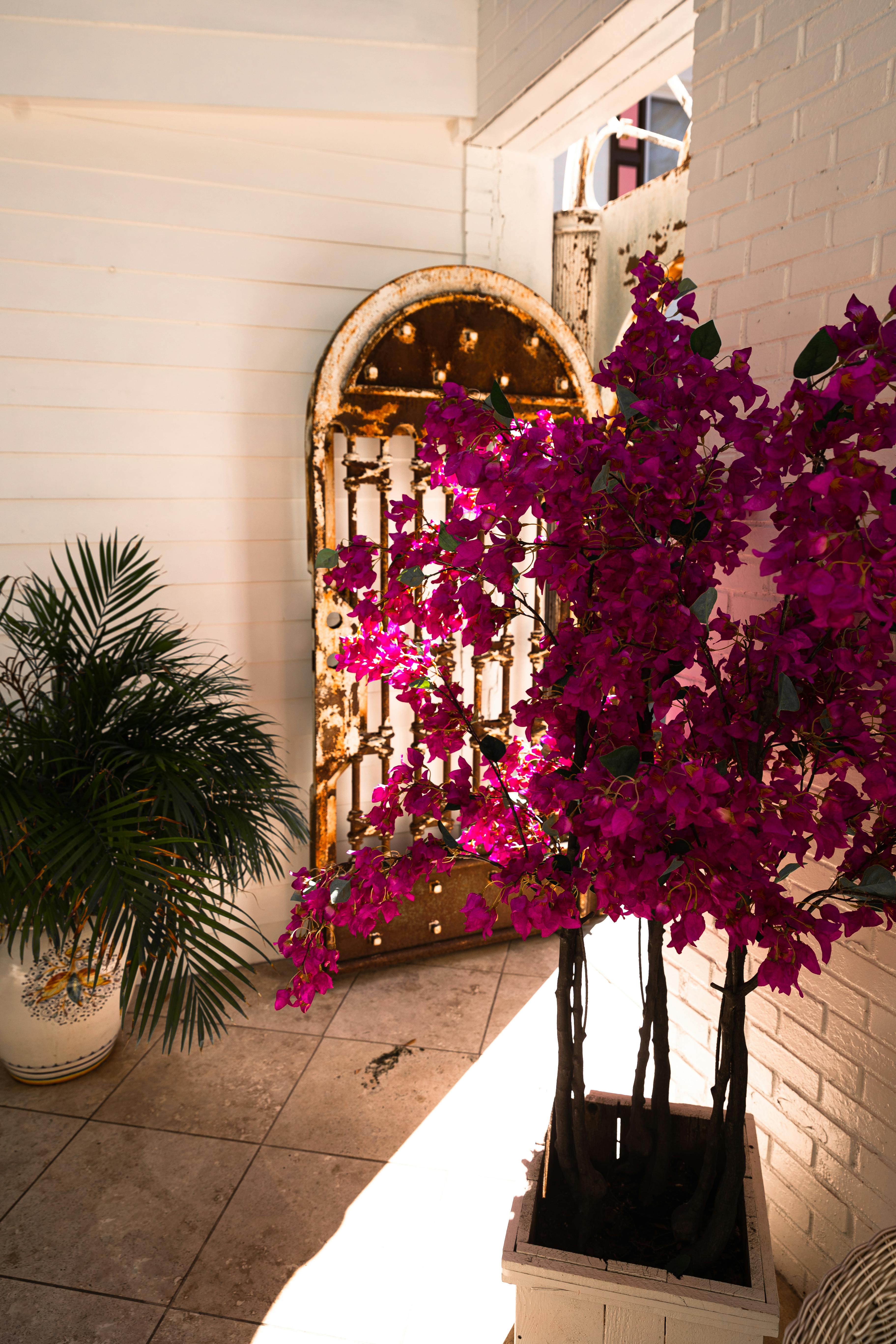 Why you should use a Luxury Destination Wedding Planner 