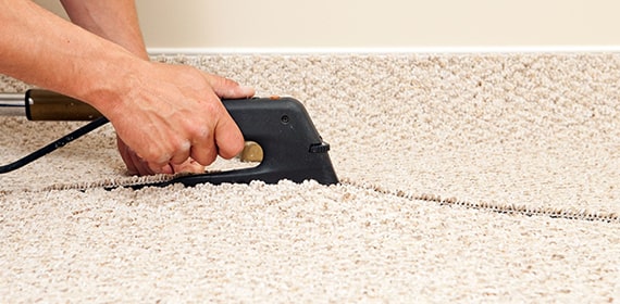 Why Regular Carpet Cleaning is Essential for a Healthy Home in Brisbane?