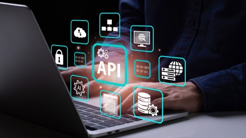 The Strategic Benefits and Costs of Custom Cloud Application Development