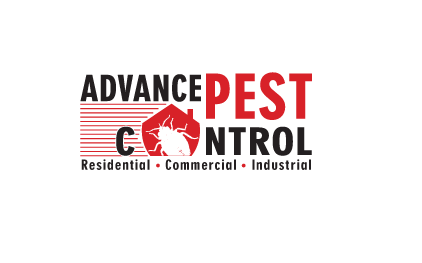 Bed bug control in Tsawwassen - advancepest